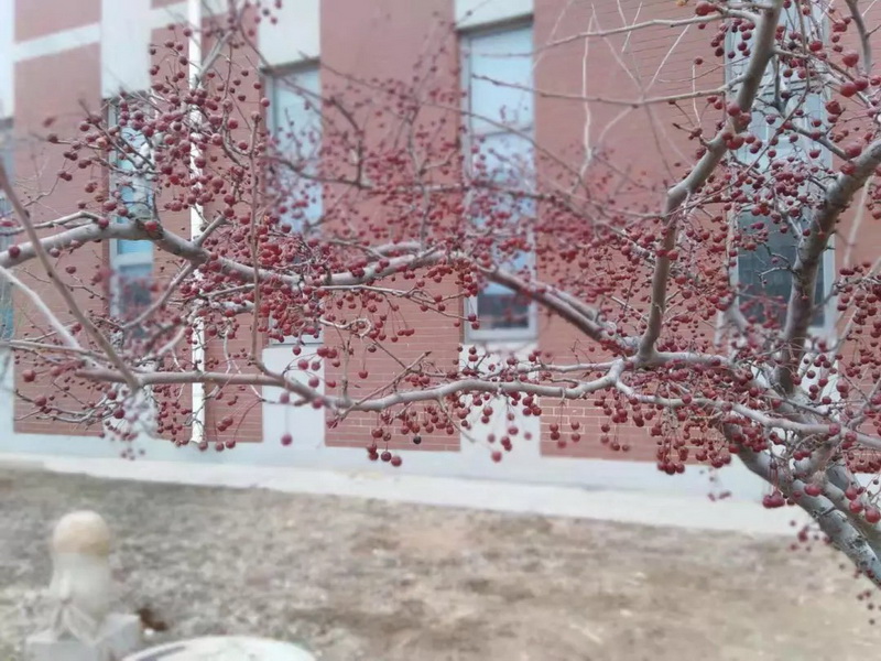 640 (2).jpg 640 (2).jpg